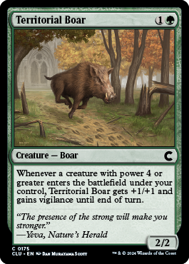 Territorial Boar