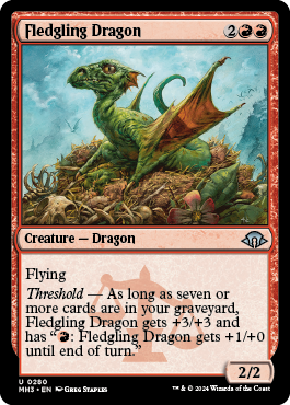 Fledgling Dragon