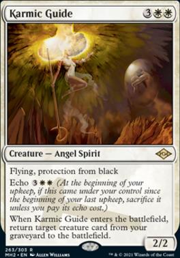 Karmic Guide