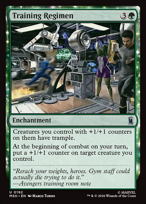 Training Regimen (foil)