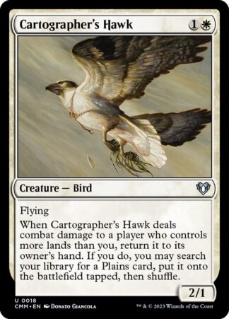 Cartographer’s Hawk