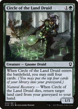 Circle Of The Land Druid